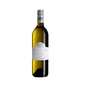 Big Banyan Sauvignon Blanc