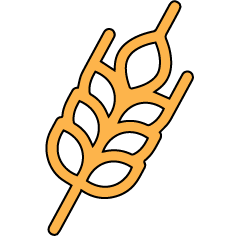 Malt